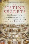 Benjamin Blech, Benjamin/ Doliner Blech, Blech Benjamin, Roy Doliner, Doliner Roy - The Sistine Secrets