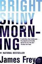 James Frey - Bright Shiny Morning
