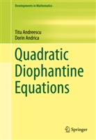 Tit Andreescu, Titu Andreescu, Dorin Andrica - Quadratic Diophantine Equations