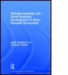David Smallbone, David (Small Business Research Centre Smallbone, David Welter Smallbone, Professor David Smallbone, Professor David Welter Smallbone, Smallbone David... - Entrepreneurship and Small Business Development in Post Socialist