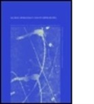 Anthony J. Langlois, Anthony J. (Flinders University Langlois, Anthony J. Soltan Langlois, Karol Soltan, Karol Langlois Soltan, SOLTAN KAROL LANGLOIS ANTHONY J... - Global Democracy and Its Difficulties