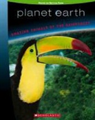Tracey West - Amazing Animals of the Rainforest