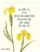 C Nelson, E. Charles Nelson, W Walsh, Wendy Walsh, Wendy F. Walsh - The Wild & Garden Plants of Ireland