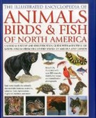 David Alderton, Amy-Jane Beer, Tom Jackson, Jackson Tom - Illustrated Encyclopaedia of Animals, Birds and Fish of America