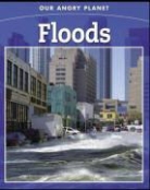 Anita Ganeri - Flood