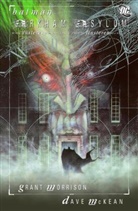 McKean, Dave McKean, Morriso, Gran Morrison, Grant Morrison, Dave McKean - Batman, Arkham Asylum