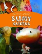 Lynn Huggins-Cooper - Slimey Sliders
