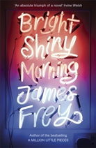 James Frey - Bright Shiny Morning