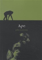 John Sorensen, John Sorenson - Ape