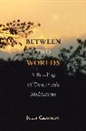 John Carriero, Carriero John - Between Two Worlds