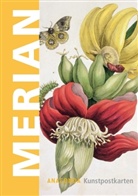 Maria S. Merian - Merian, Kunstpostkarten