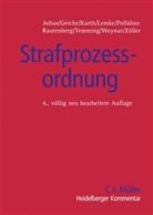 Björn Gercke, Karl-Peter Julius, Hans-Joachim Kurth - Strafprozessordnung (StPO), Heidelberger Kommentar