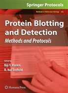Hal Scofield, Hal Scofield, Biji T. Kurien, R. Hal Scofield, Bij T Kurien, Biji T Kurien - Protein Blotting and Detection