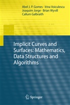Callum Galbraith, Abe Gomes, Abel Gomes, Abel J. P. Gomes, Joaquim Jorge, Joaquim et al Jorge... - Implicit Curves and Surfaces: Mathematics, Data Structures and Algorithms
