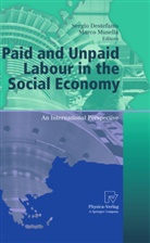 Sergi Destefanis, Sergio Destefanis, Musella, Musella, Marco Musella - Paid and Unpaid Labour in the Social Economy