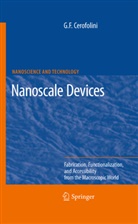 Gianfranco Cerofolini, Gianfranco F. Cerofolini - Nanoscale Devices