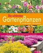 Folko Kullmann, Joachim Mayer - Die schönsten Gartenpflanzen