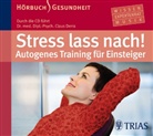Claus Derra, Claus Derra, Christoph Jablonka, Thomas Meinhardt - Stress lass nach!, 1 Audio-CD (Audio book)