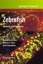 Andre C Oates, Andrew C Oates, Koichi Kawakami, Graham J. Lieschke, Andrew C. Oates - Zebrafish