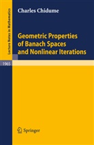 Charles Chidume - Geometric Properties of Banach Spaces and Nonlinear Iterations