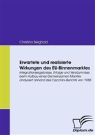 Christina Berghold - Erwartete und realisierte Wirkungen des EU-Binnenmarktes