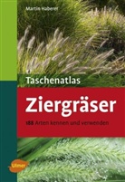 Martin Haberer - Taschenatlas Ziergräser