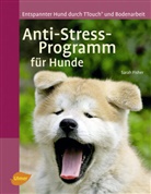 Sarah Fisher - Anti-Stress-Programm für Hunde