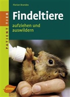 Florian Brandes - Findeltiere