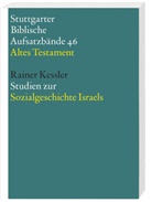 Rainer Kessler, Gerhard Dautzenberg, Norbert Lohfink - Stuttgarter Biblische Aufsatzbände, Altes Testament: Studien zur Sozialgeschichte Israels