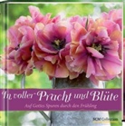 Miriam Gamper - In voller Pracht und Blüte
