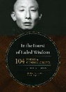Gendun Chopel, Gendun/ Lopez Chopel, Chopel Gendun, Donald S. Lopez - In the Forest of Faded Wisdom