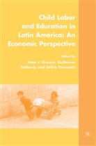 Kenneth A Loparo, Kenneth A. Loparo, Orazem, P Orazem, P. Orazem, Peter F. Orazem... - Child Labor and Education in Latin America