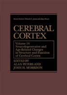 H Morrison, H Morrison, John H Morrison, John H. Morrison, Ala Peters, Alan Peters - Cerebral Cortex