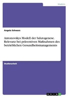Angela Schwarz - Antonovskys Modell der Salutogenese