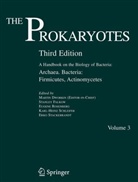 Martin Dworkin, Stanley Falkow, Eugene Rosenberg - The Prokaryotes - 3: Archaea. Bacteria: Firmicutes, Actinomycetes