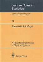 Eduardo Engel, Eduardo M R A Engel, Eduardo M. R. A. Engel, Eduardo M.R.A. Engel - A Road to Randomness in Physical Systems