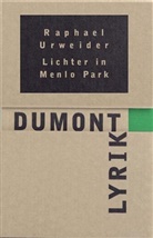 Raphael Urweider - Lichter in Menlo Park