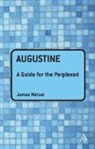 James Wetzel - Augustine: A Guide for the Perplexed