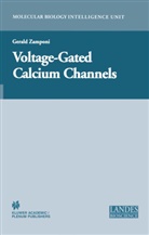 Dr. Dr. Gerald Werner Zamponi University of Calgary, Geral Werner Zamponi, Gerald Werner Zamponi, G. W. Zamponi, Gerald Zamponi, Gerald W. Zamponi... - Voltage-Gated Calcium Channels