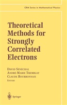 C. Bourbonnais, Claude Bourbonnais, David Senechal, David Sénéchal, A.-M. Tremblay, Andre-Mari Tremblay... - Theoretical Methods for Strongly Correlated Electrons