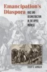 Leslie A. Schwalm - Emancipation's Diaspora