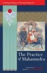 Drikung Kyabgon Chetsang, Drikung Kyabgon Chetsang Rinpoche, Ani K. Trinlay Chodron - The Practice of Mahamudra