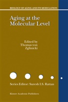Thomas von Zglinicki, Thomas von Zglinicki, T. Von Zglinicki, Thoma von Zglinicki, Thomas von Zglinicki, Thomas von Zglinicki - Aging at the Molecular Level