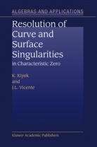 K. Kiyek, J L Vicente, J. L. Vicente, J.L. Vicente - Resolution of Curve and Surface Singularities in Characteristic Zero