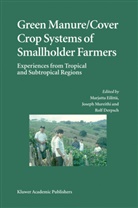 M. Eilitta, Rolf Derpsch, Eilitt¿Marjatta, Marjatta Eilittä, Marjatta Eilittd, Joseph Mureithi - Green Manure/Cover Crop Systems of Smallholder Farmers