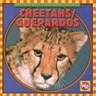 Kathleen Pohl - Cheetahs/ Guepardos