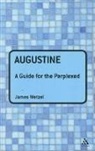 James Wetzel - Augustine: A Guide for the Perplexed
