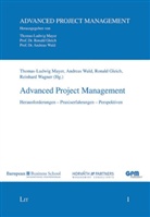 Ronald Gleich, Thomas L Mayer, Thomas L. Mayer, Reinhard Wagner, Andreas Wald - Advanced Project Management