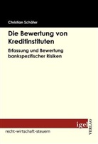 Christian Schäfer - Die Bewertung von Kreditinstituten