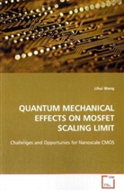 Lihui Wang - QUANTUM MECHANICAL EFFECTS ON MOSFET SCALING LIMIT